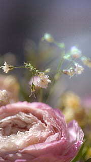 结婚爸爸穿的衣服图片 女儿结婚父亲穿什么样的西装图片