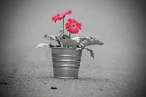 婚姻登记处窗口工作累吗 婚姻登记处工作辛苦吗