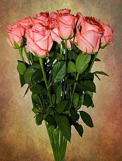 要不要给伴娘买晨袍 晨袍需要给伴娘准备吗