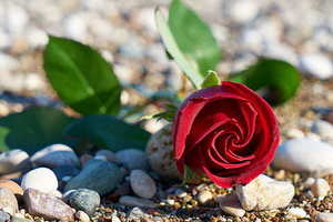 结婚现场放视频 就是结婚现场播放的那个视频？