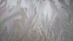 好朋友领证送什么礼物 朋友领结婚证送什么礼物好