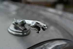 女儿出嫁房间布置视频 女儿出嫁房间怎么布置