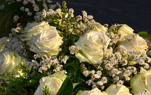 婚宴妈妈装可以穿宝蓝色 女方摆酒妈妈可穿蓝色或绿色裙吗?