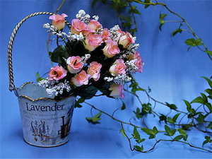 婚宴主陪都有什么任务