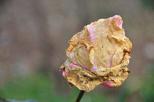 新娘妆发型2019 新娘妆发型怎么搭好看 关键还得看妆容?