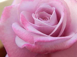 甘肃婚礼的头钱是什么意思 在兰州结婚的习俗是什么啊！详细一点？