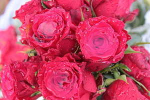 新郎结婚穿什么颜色西服 新郎结婚要穿什么颜色的西服?黑色?