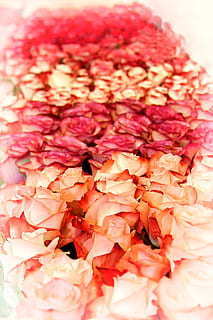 结婚男女合办如何排桌 男女方一起合办婚宴,主桌的人员要怎么安排