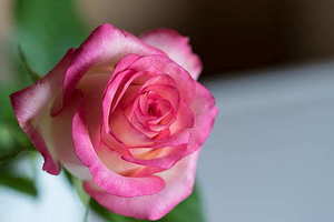 女儿结婚娘家陪嫁什么 女儿结婚 嫁妆准备什么好