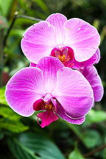 农村婚庆歌曲大全