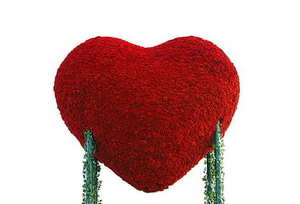 婚礼舞台叫礼堂吗 教堂和结婚礼堂是同一个地方吗?