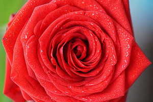 父母钻石婚怎么庆祝 儿女怎么庆祝父母60周年钻石婚