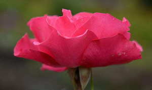 婚礼纪送红包能看到么