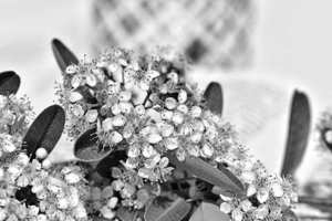 2020结婚歌曲大全100首 推荐100首结婚用的歌曲