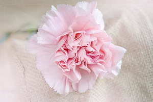 最帅气伴郎着装图片