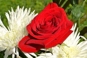 结婚要注意什么 结婚是要注意什么