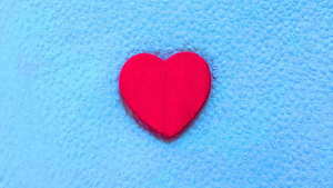 异地接亲大巴车合适吗