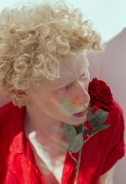 婚纱一定要配头纱吗 穿婚纱必须戴头纱吗?