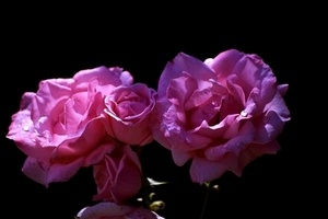 结婚女方需要做几个菜 女婿来接亲女方要做几个菜