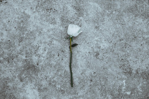 婚检两人多少钱 婚检要多少钱？