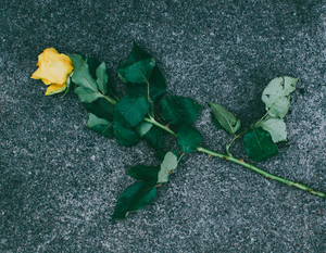 朋友圈电子请柬怎么做