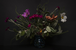 莆田婚宴菜单16个菜图片 一桌20个菜的婚宴菜单