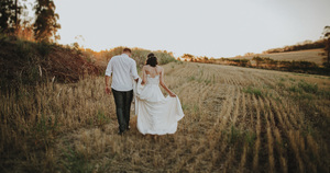 婚车头车用绿色