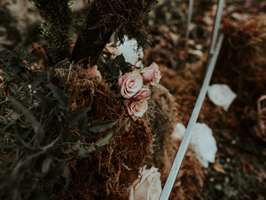 新娘是什么意思 新娘或新郎是什么意思