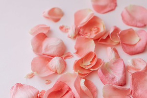 旅游结婚知乎 为何说情侣之间在结婚前需要来一场旅行呢？