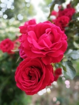 参加婚礼适合穿什么皮鞋 参加婚礼要穿怎么样的皮鞋?