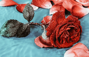 结婚不到10桌有必要办婚礼吗 结婚办十桌有必要办婚礼吗?