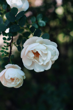 同色系粉色搭配 粉色的搭配什么颜色好看？