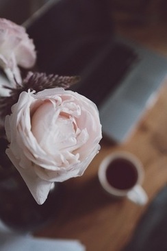 属虎不能当伴娘吗 为什么属虎的人不能当伴娘