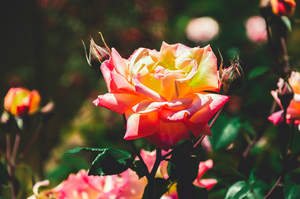 上海婚宴价格 上海婚宴的价格是多少