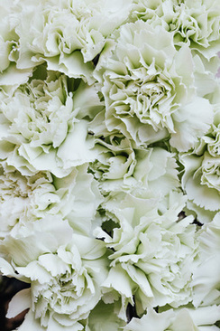 黑色是什么色调