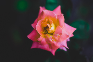 夏天结婚新郎穿啥 夏天结婚新郎怎么穿