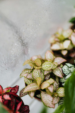 女方请帖和男方请帖的不一样 结婚请帖女方跟男方写的一样吗