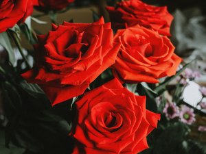 不上镜拍婚纱照怎么办 拍婚纱照不上镜怎么办