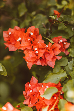 穿旗袍的短发发型图片 穿旗袍配什么样的短发发型好看