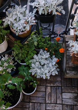 订婚时男方都拿什么 订婚男方要准备哪些东西