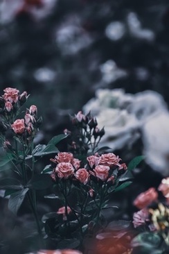 婚宴回请邀请函内容怎么写 结婚回请邀请函怎么写？