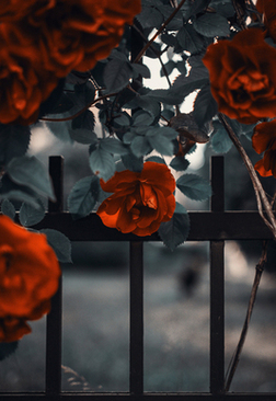 结婚前需要和婚庆公司沟通些什么 婚前与婚礼司仪沟通要注意什么