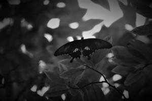 婚鞋1000多左右的牌子 国内婚鞋哪个牌子好?