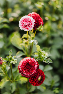 微信上用的邀请函 怎么制作微信邀请函