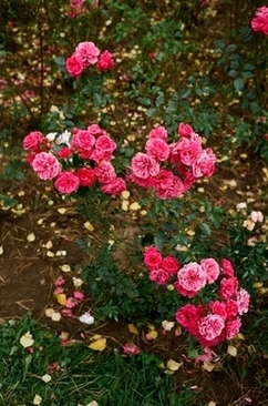 婚礼妈妈秋冬装 儿子婚礼妈妈冬季服装