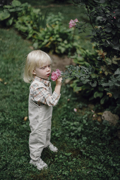 粉色一字肩礼服头发造型