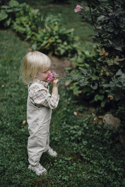婚礼头纱什么时候揭开