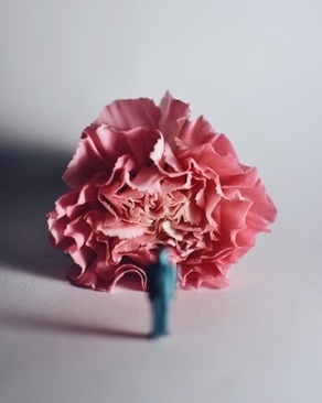 怎样调车才不会吃布 电动缝纫机压脚压力怎么调,才不吃布