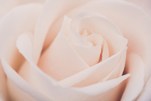 朋友结婚随礼200合适吗