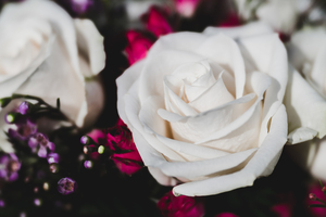 婚礼红包祝福语 新婚祝福红包怎么写祝福语大全